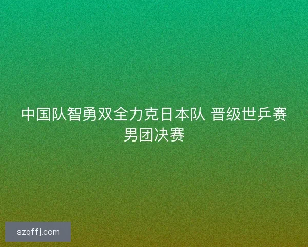 中国队智勇双全力克日本队 晋级世乒赛男团决赛